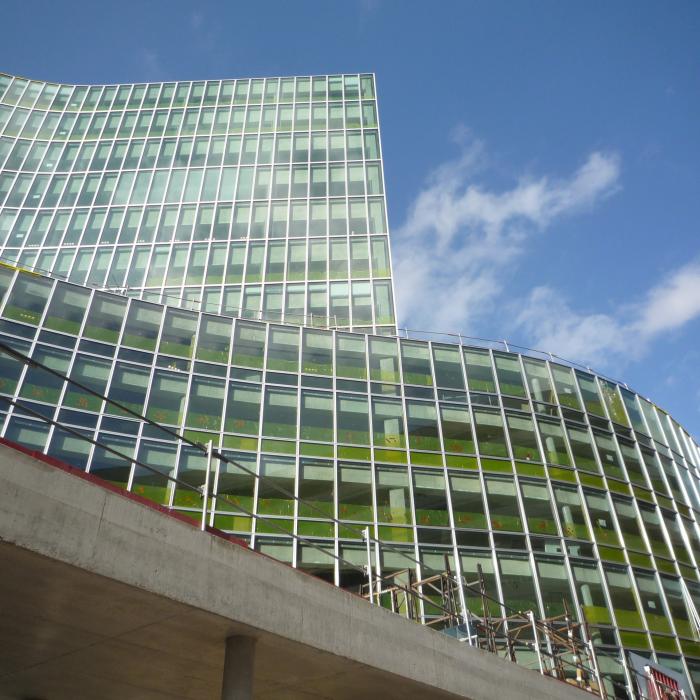 View of work site from rue Losserand