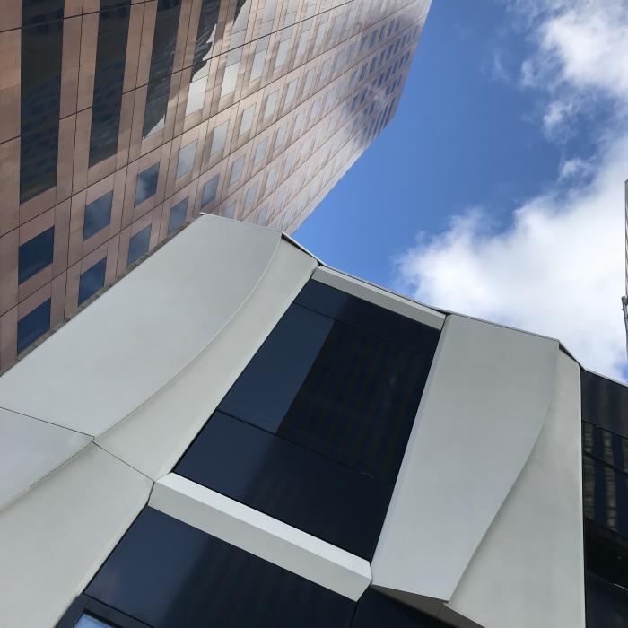 tour cèdre ancienne/ nouvelle